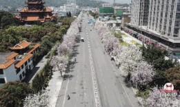 福州鼓山爆料案件最新,惊现神秘失踪事件，真相待解