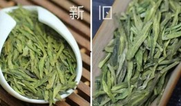 最新茶叶爆料,神秘新品横空出世，茶艺新风尚引领潮流