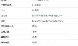 网贷最新爆料,揭秘风险与机遇并存