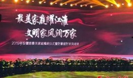 合肥天鹅湖最新爆料微博,揭秘湖畔新景观与生态变迁