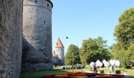 爱沙尼亚最新爆料,揭秘神秘事件背后的真相！”